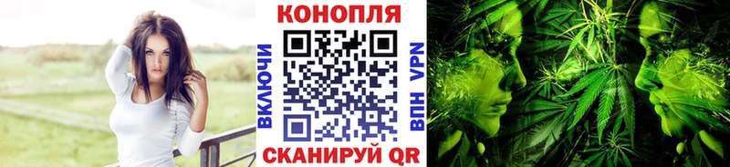 Конопля сатива  Симферополь 